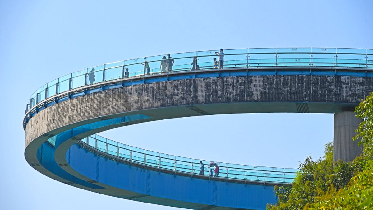 아라마루 전망대