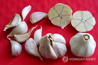 연합뉴스