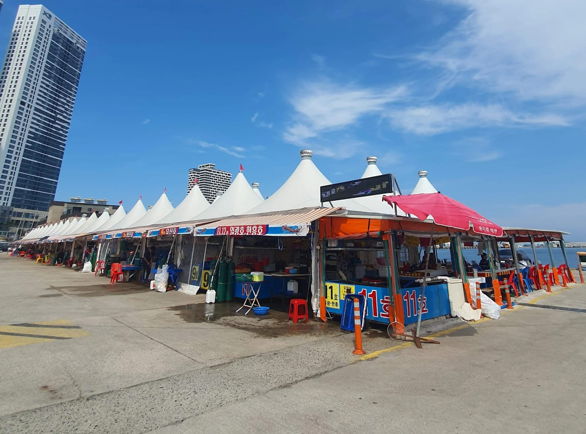 동명항 오징어난전 노포감성 포차