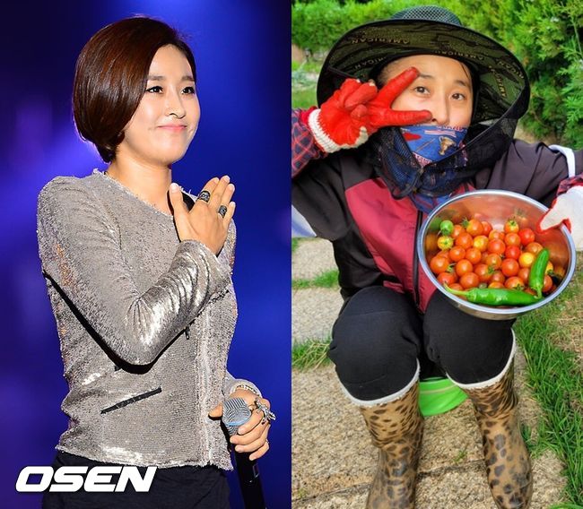 OSEN