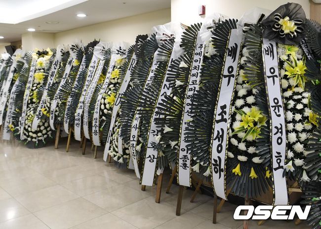 OSEN