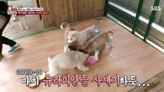 텐아시아