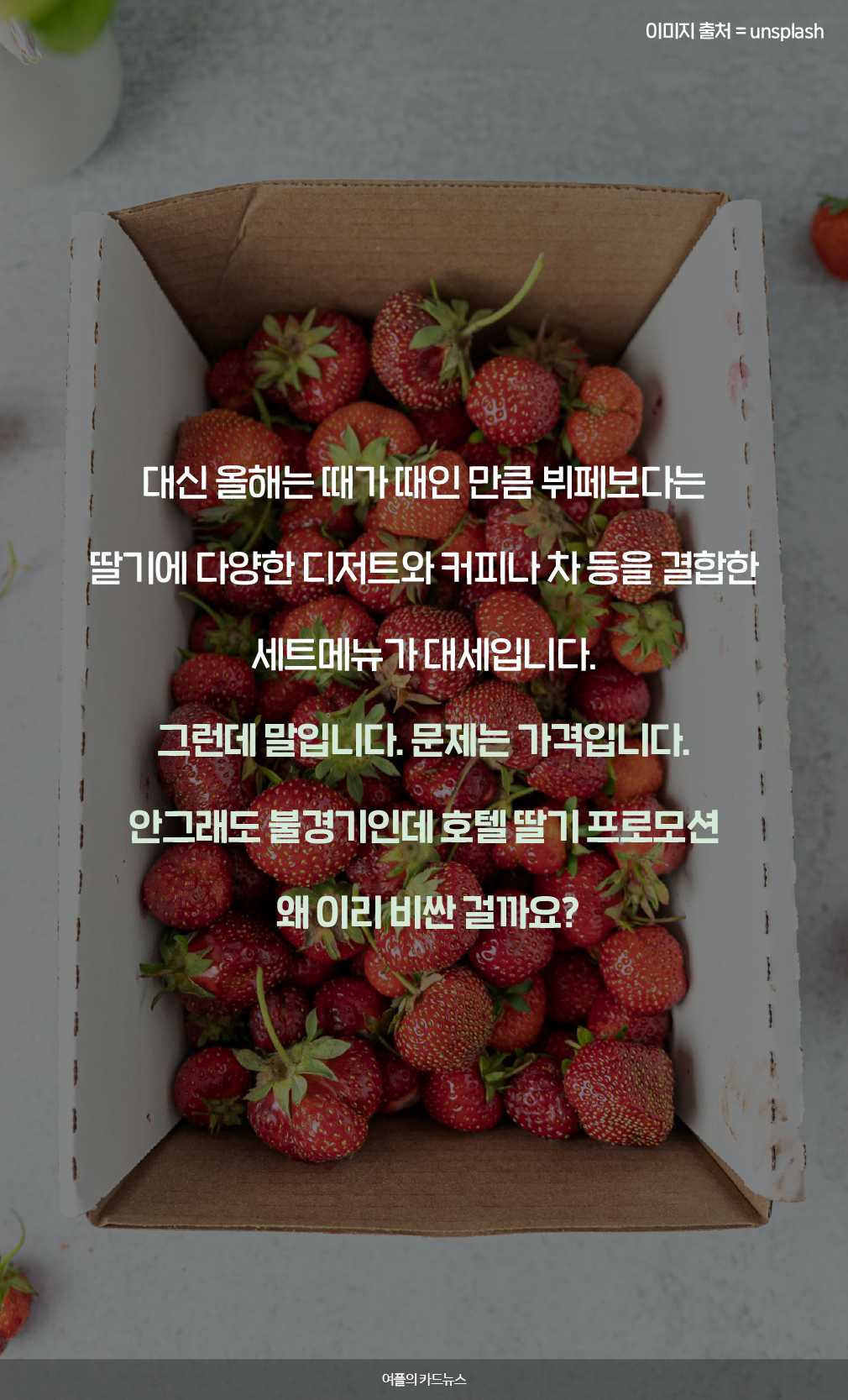 매일경제