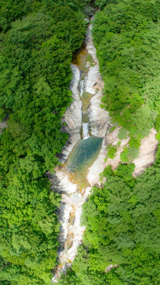 한국일보