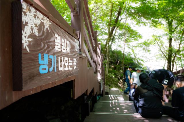한국일보