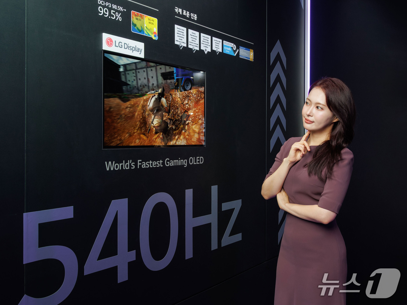 뉴스1