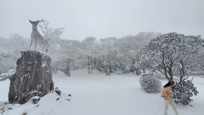 세계일보