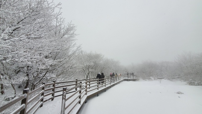 세계일보