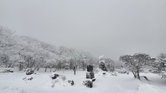 세계일보