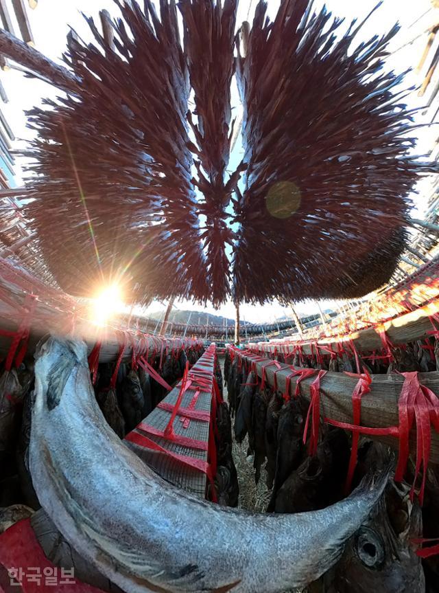 한국일보