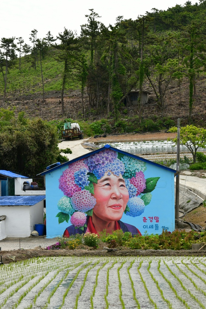 세계일보