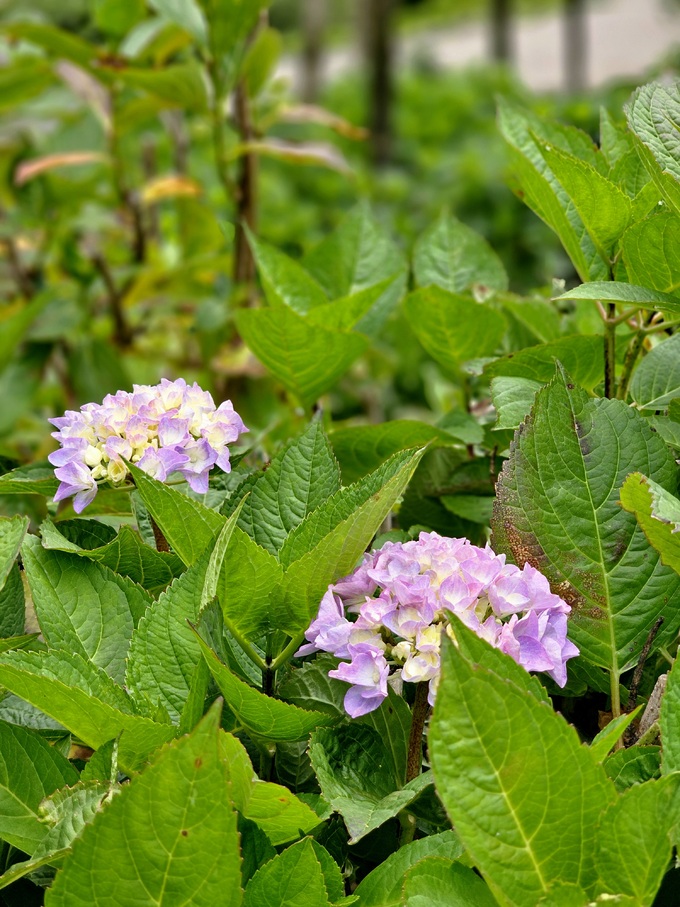 세계일보