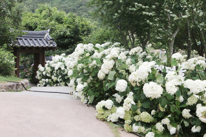 세계일보