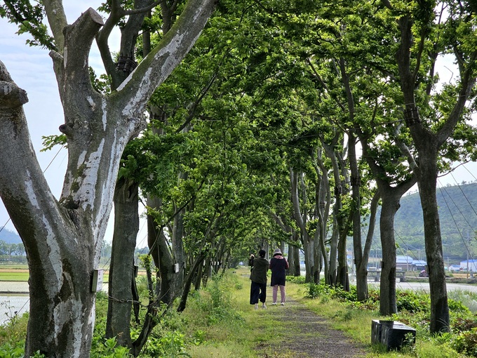 세계일보