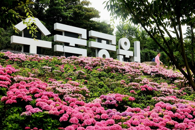 세계일보