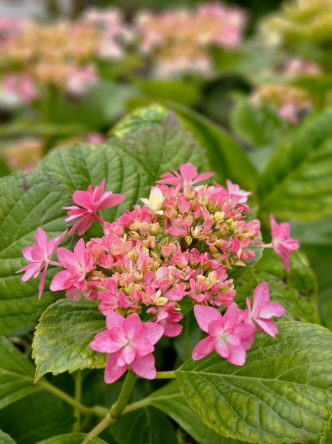 세계일보