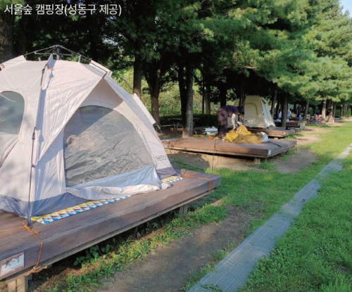 시티라이프