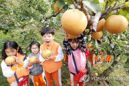 연합뉴스