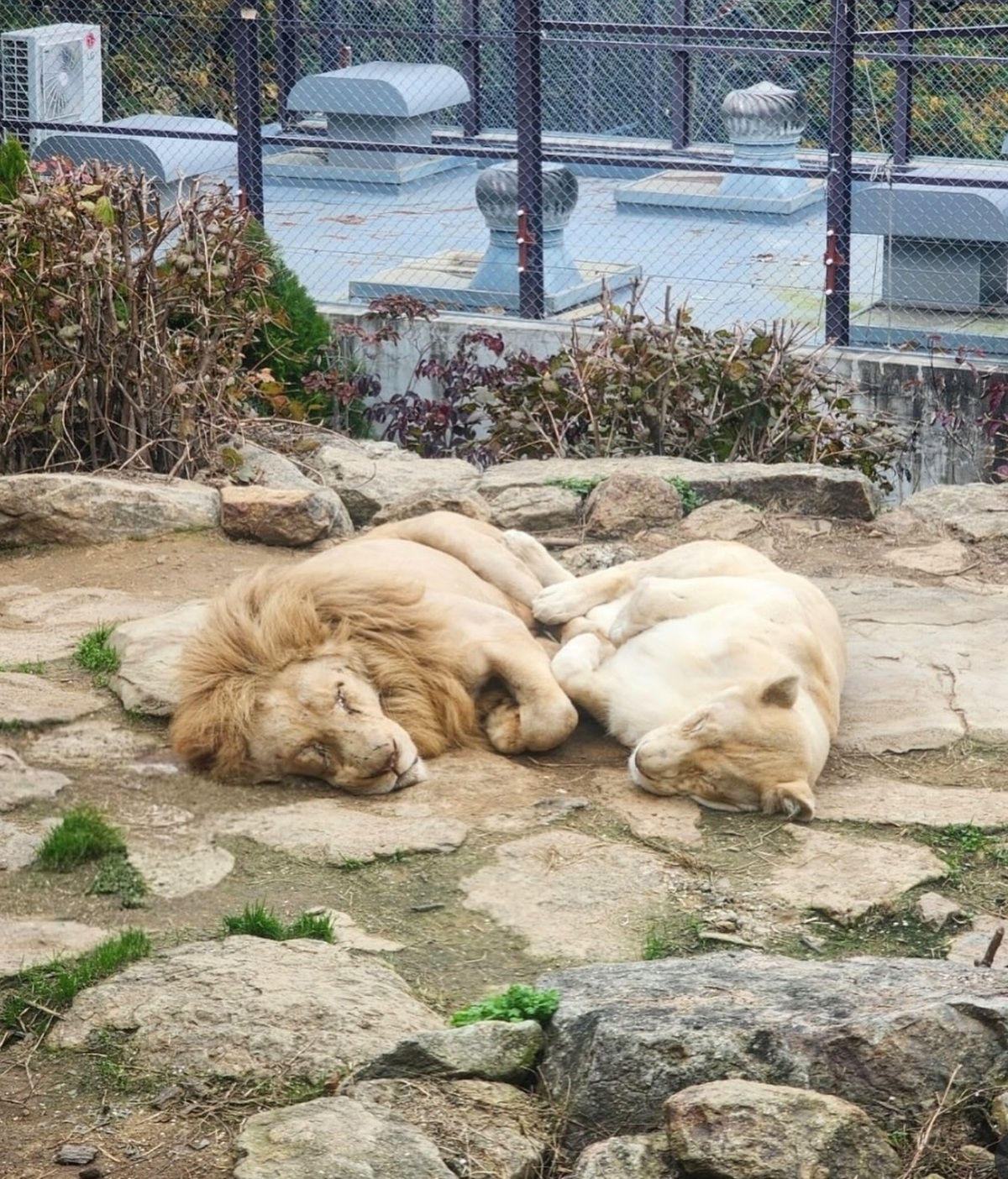 세계일보