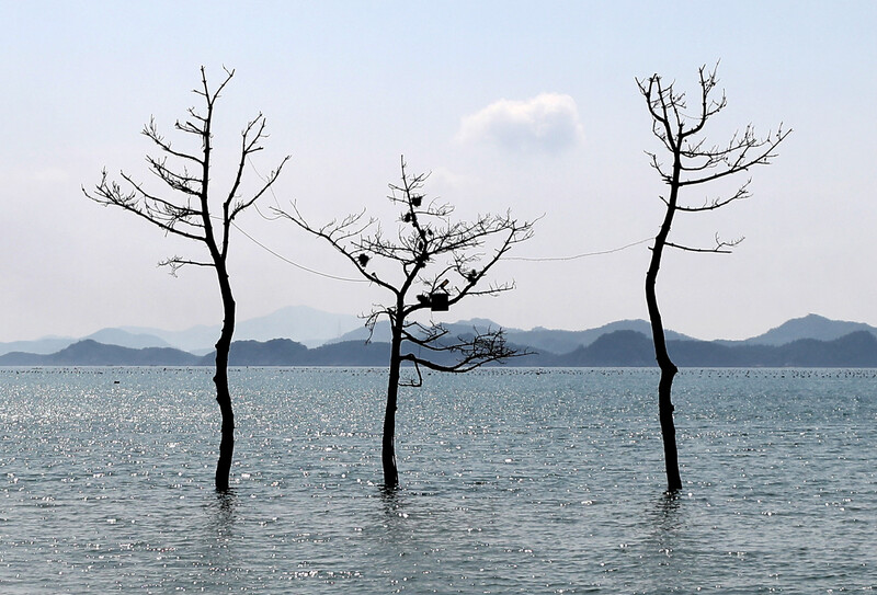한겨레