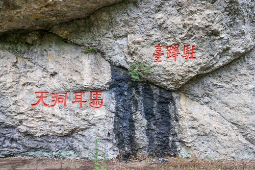 연합뉴스