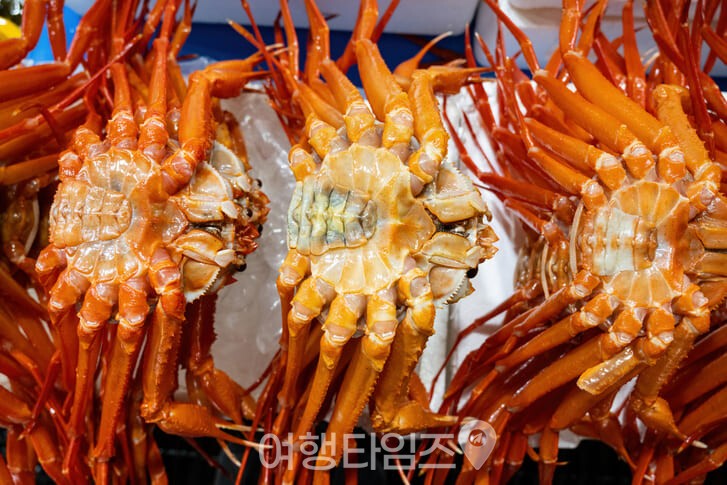 9월의 주문진 ⓒ게티이미지뱅크