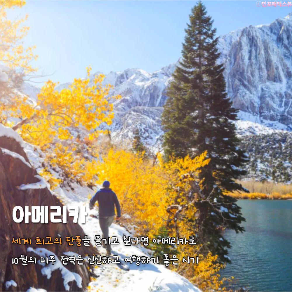 아메리카