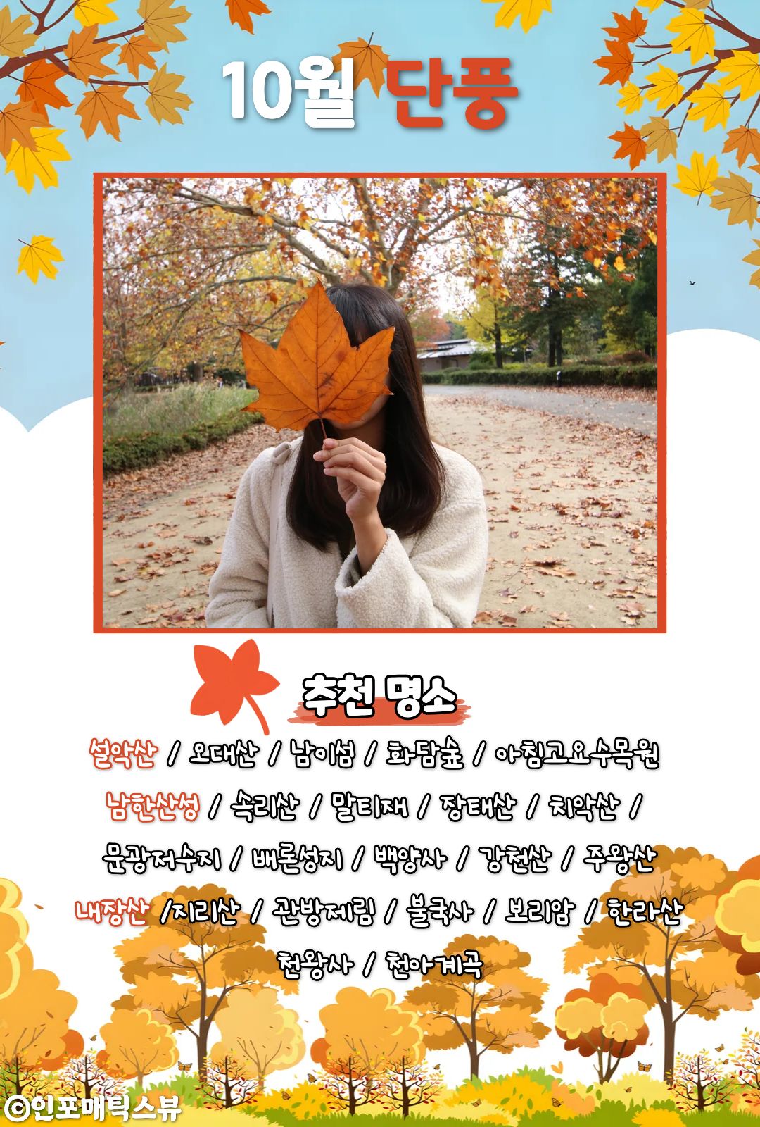 단풍나무 명소 / ⓒ인포매틱스뷰
