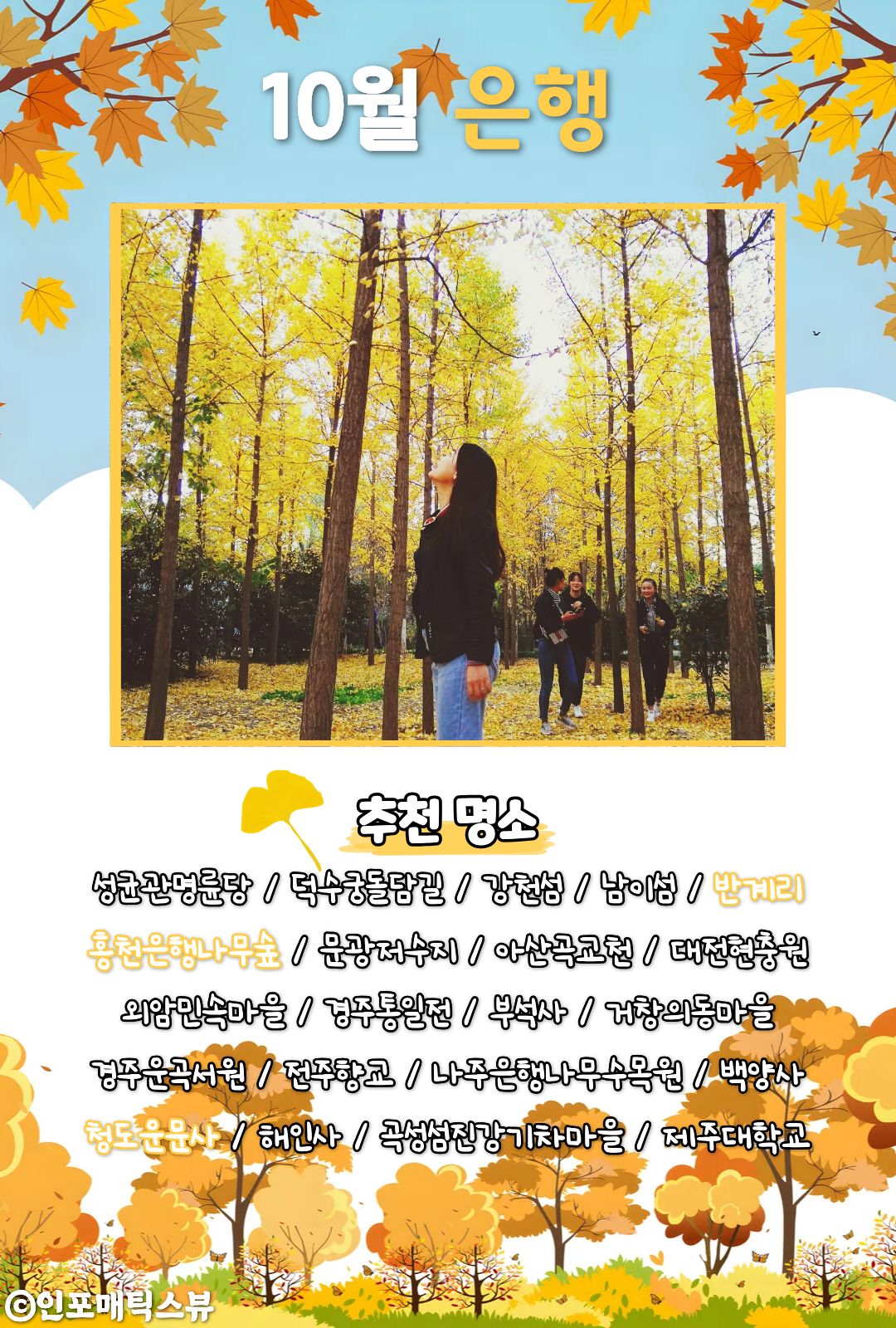 은행나무 명소 / ⓒ인포매틱스뷰