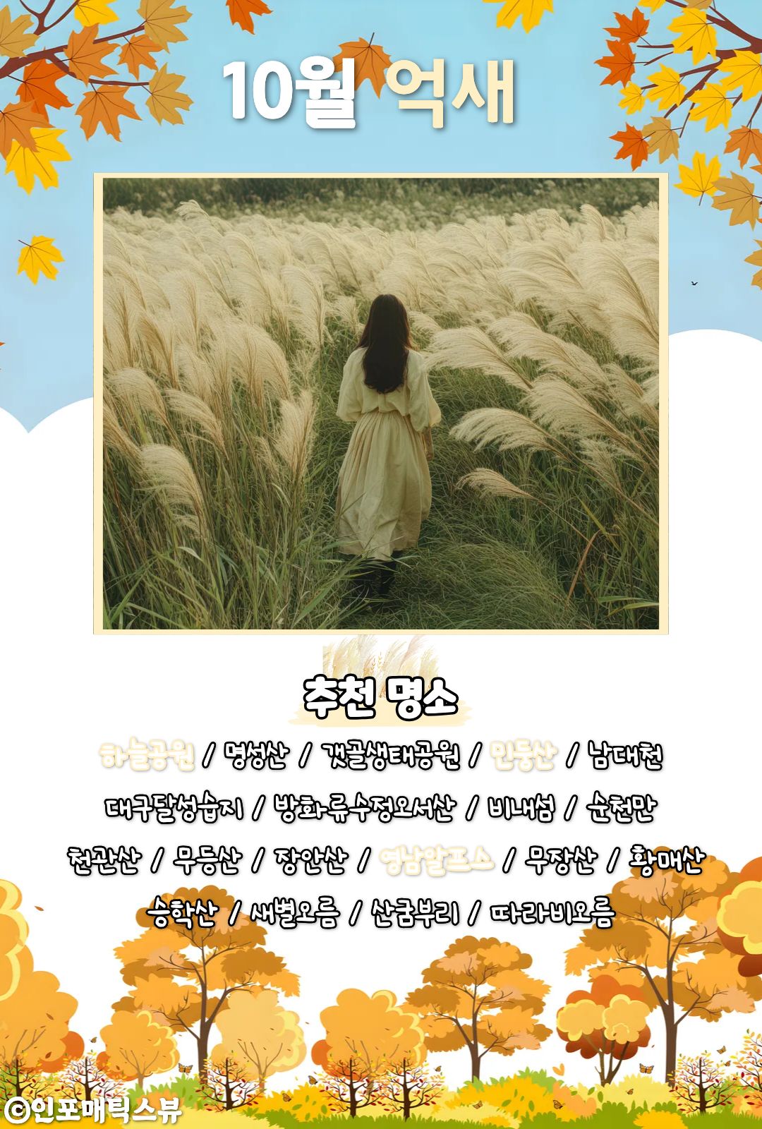 억새 명소 / ⓒ인포매틱스뷰