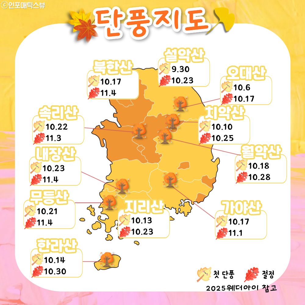 2025 단풍 지도 / ⓒ인포매틱스뷰