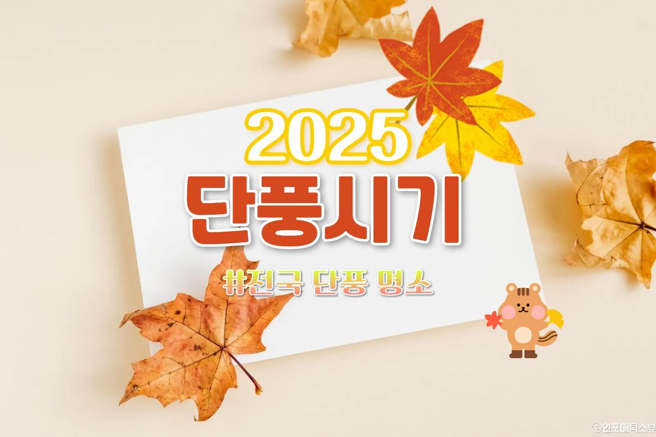 2025 단풍시기 / ⓒ인포매틱스뷰