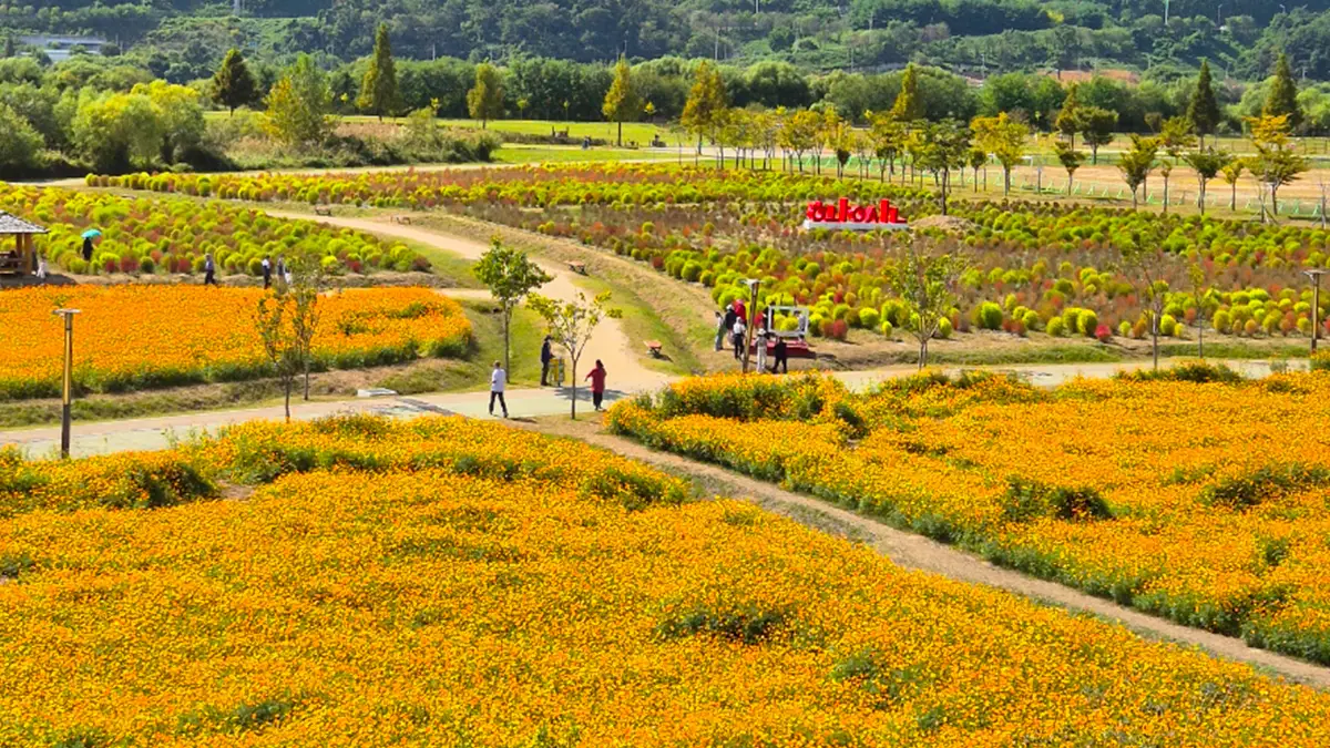 황산공원 전경