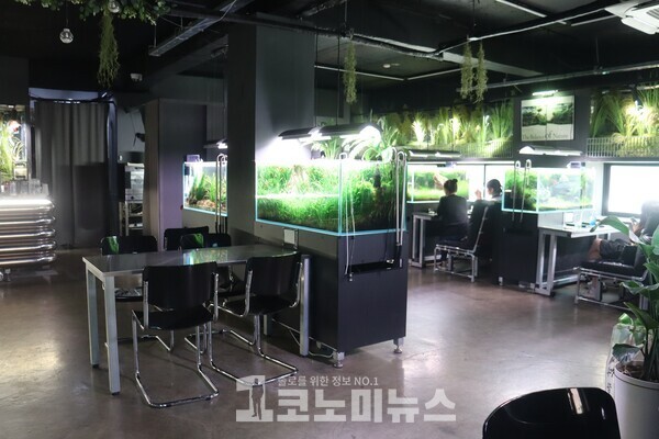 아쿠아 갤러리 '비워터' 실내 모습./사진=1코노미뉴스