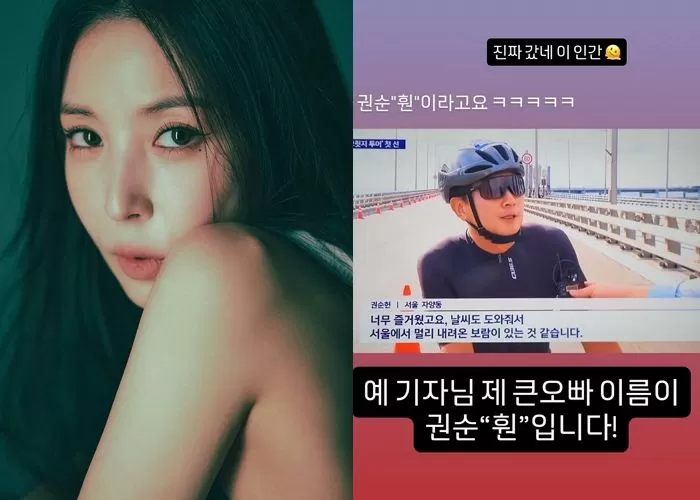 인사이트