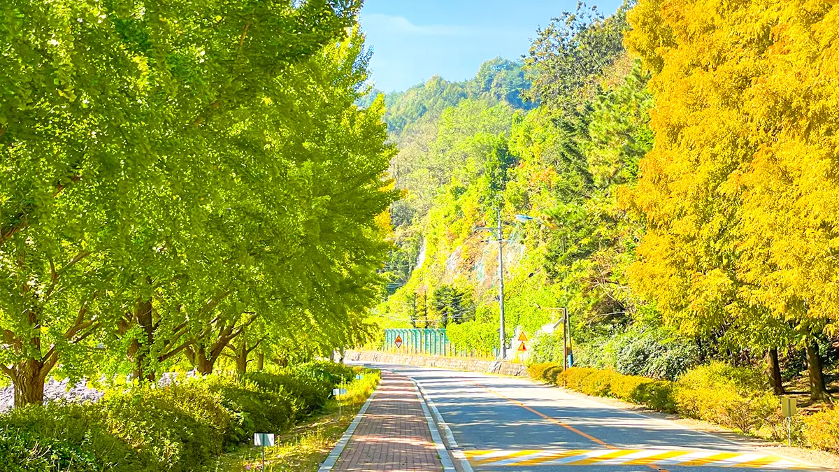 안동 낙강물길공원 산책길