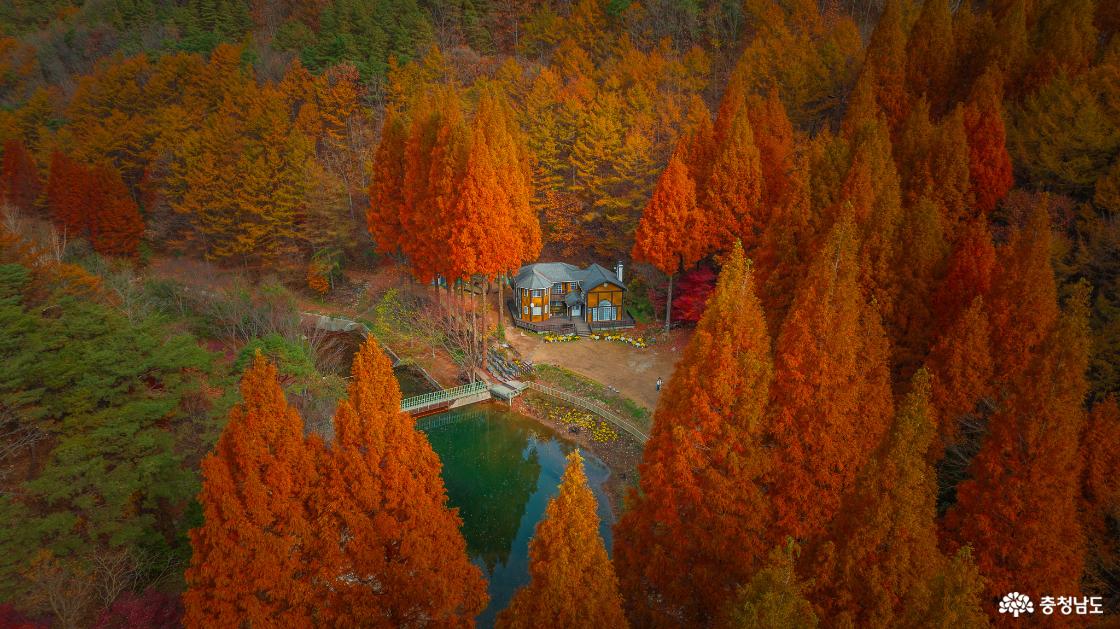 동화 같은 단풍 명소 / 사진=충청남도 누리집@여행하는 리따(dyun06@naver.com)