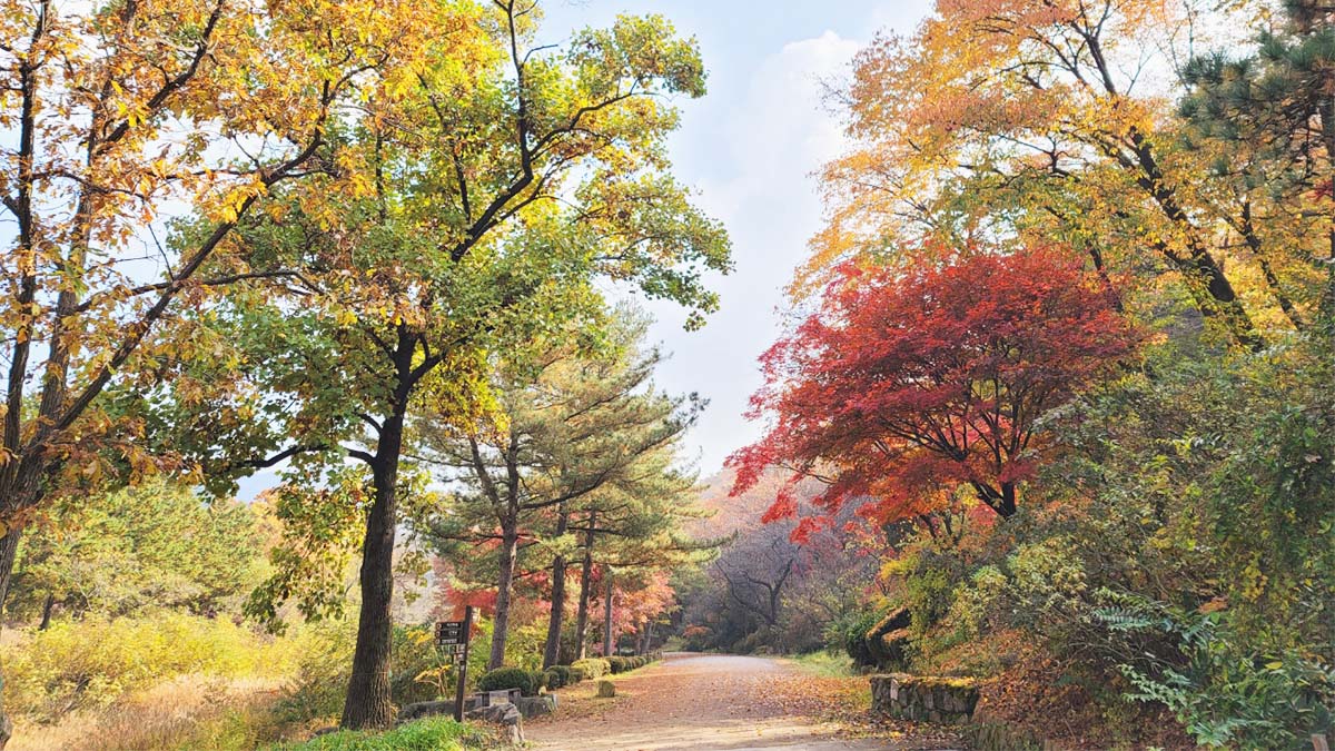 서울대 안양수목원 풍경