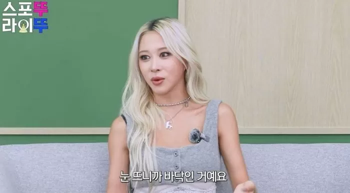 인사이트
