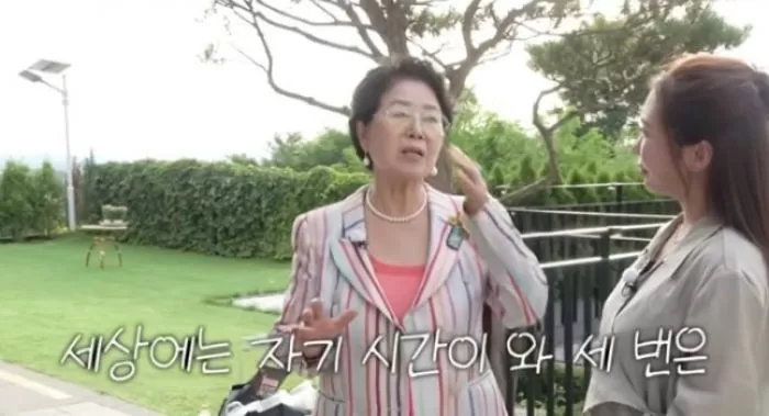 인사이트