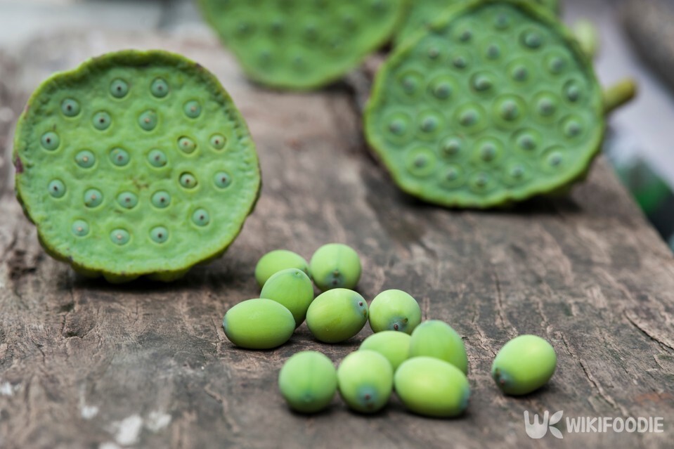 연자육 사진. / Orapin Joyphuem-shutterstock.com