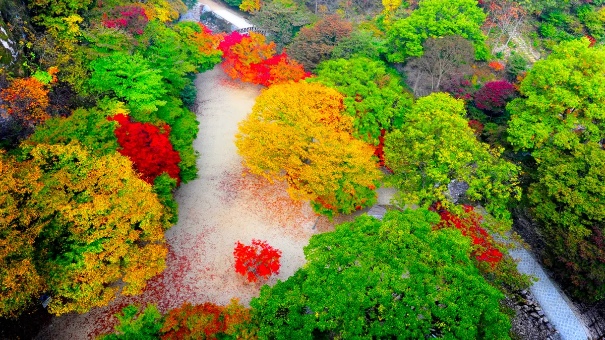 강천산군립공원 전경