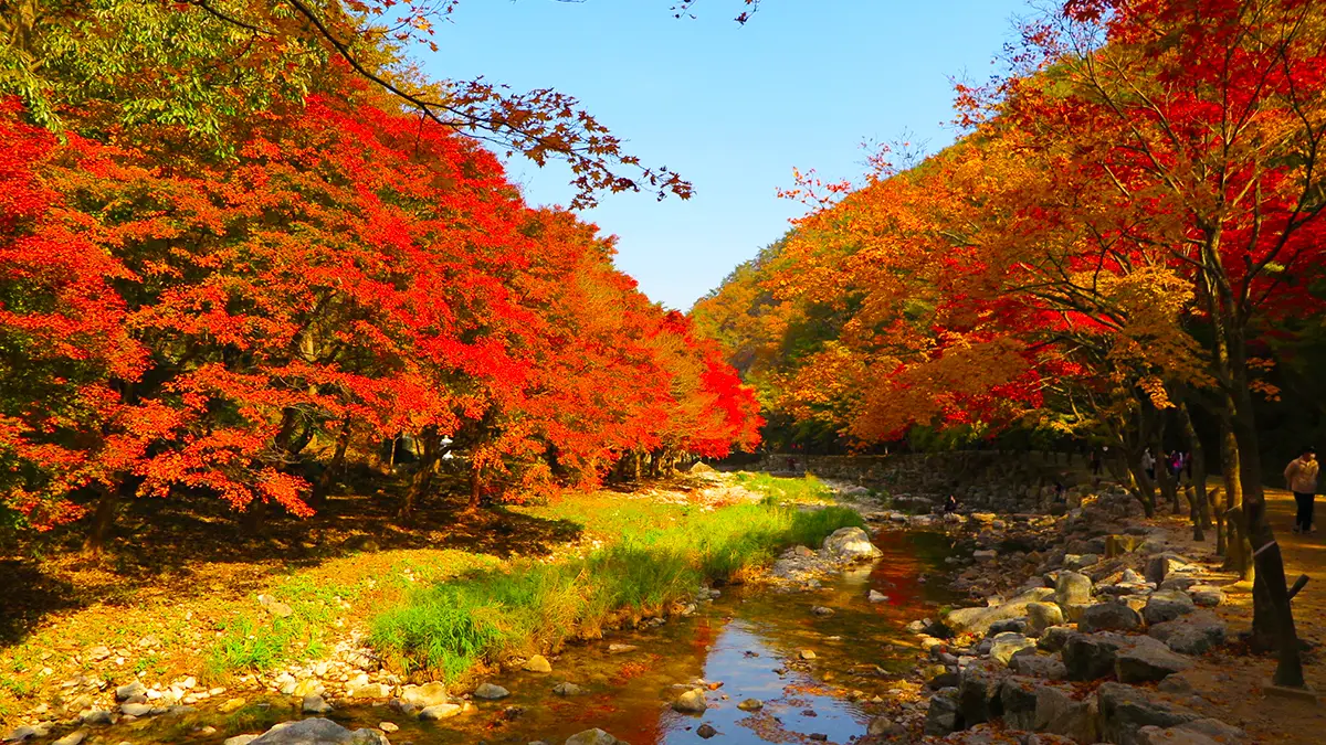 강천산 가을 절경