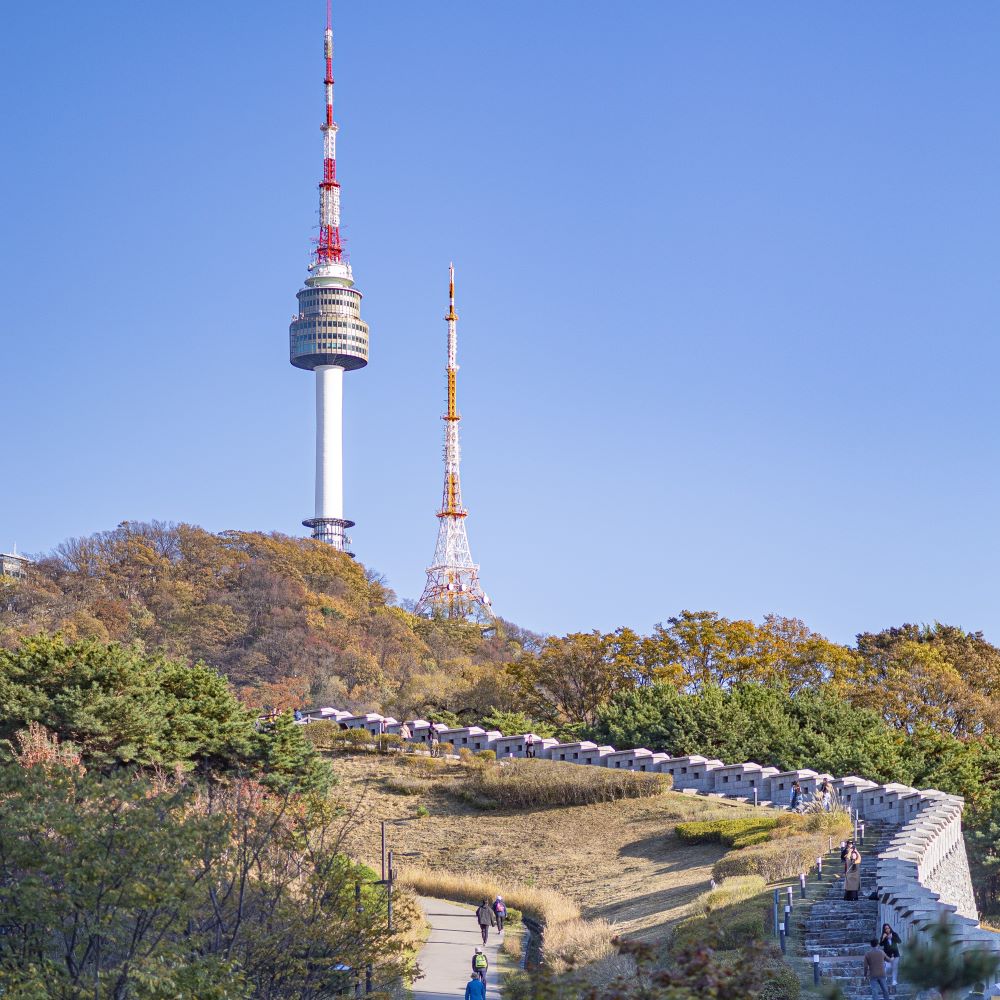 남산의 가을 / 사진=서울아카이브