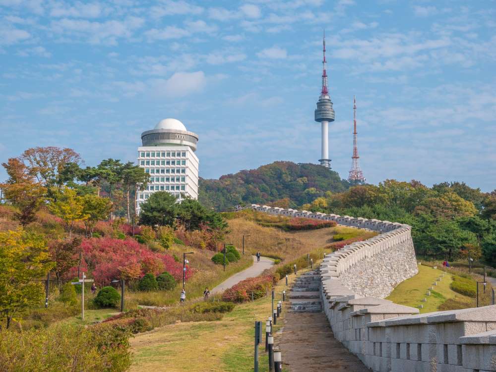 남산공원 가을 풍경 / 사진=서울문화포털