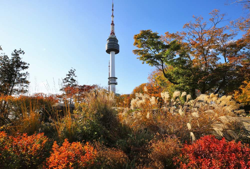 남산공원 가을 / 사진=서울문화포털