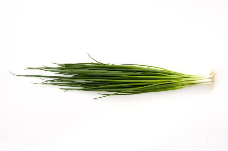 게티이미지뱅크