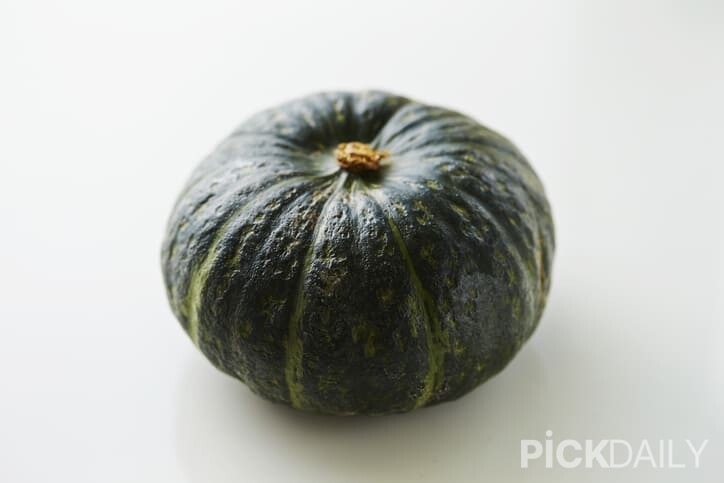 게티이미지뱅크