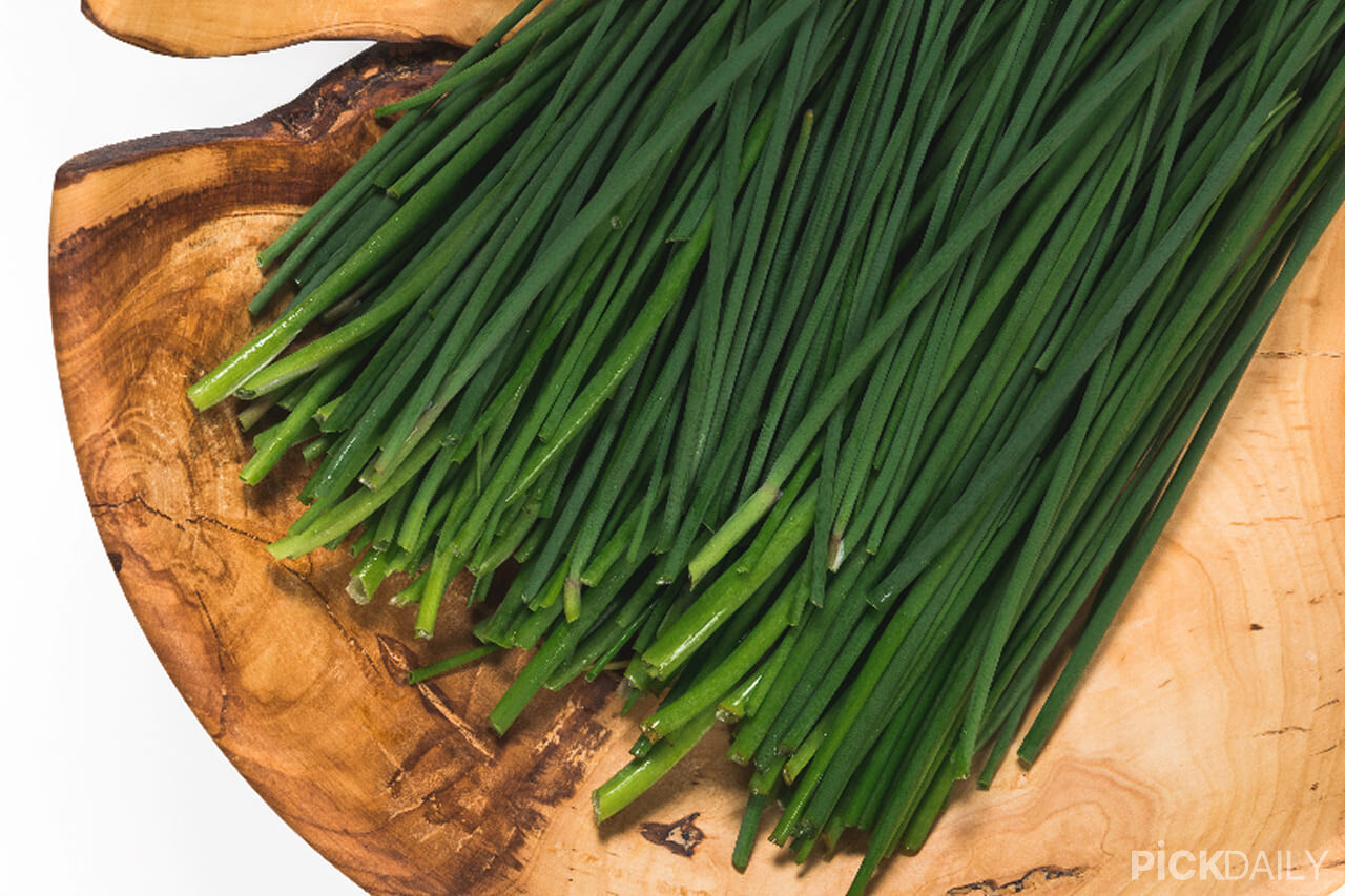 게티이미지뱅크