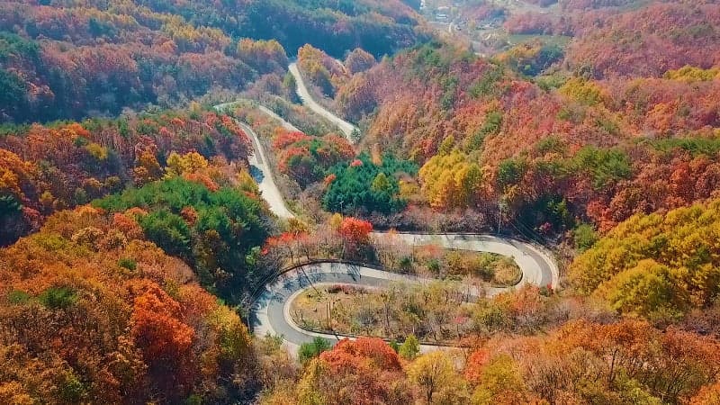 도마령 드라이브 코스 / 출처: 영동군 공식 블로그